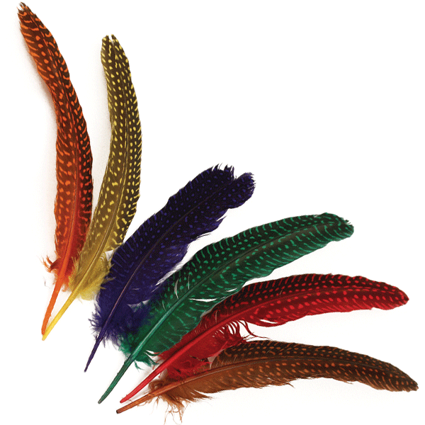 12x Gestipte veren in verschillende kleuren