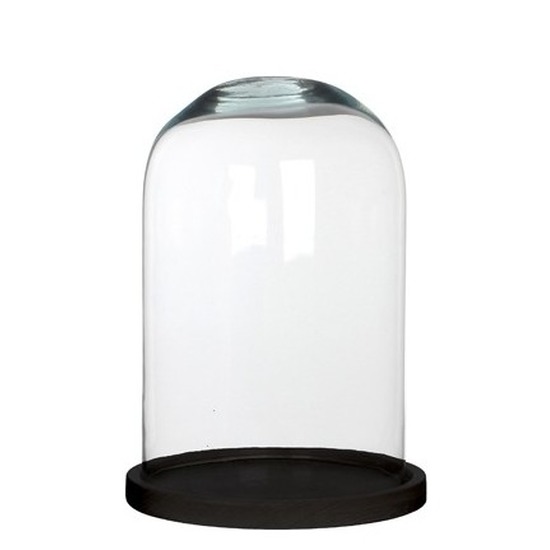 Reclame Toegeven Kamer Woondecoratie stolp 21 x 30 cm transparant glas met zwart houten voetje |  Paas Feestwinkel