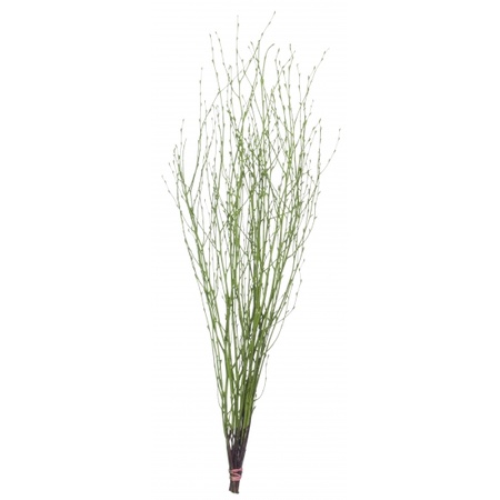 Small green Easter branch bunch 75 cm with 12 eggs